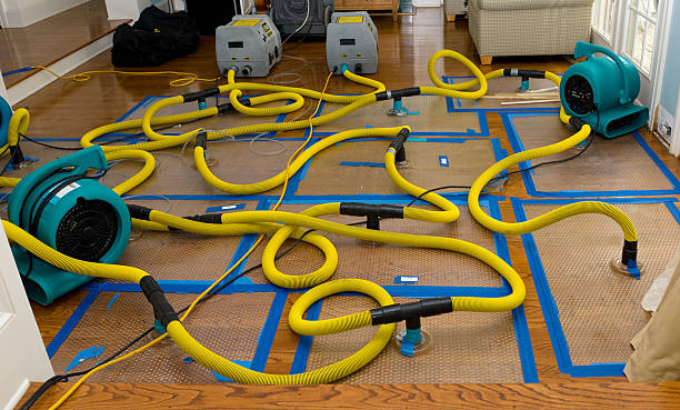 Professional Burst Pipe Water Damage technician working in Glyndon, MN